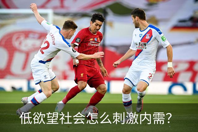 低欲望社会怎么刺激内需？