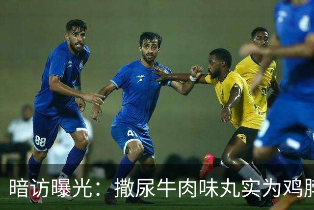 暗访曝光：撒尿牛肉味丸实为鸡脖泥制作 河南多家食品企业被查