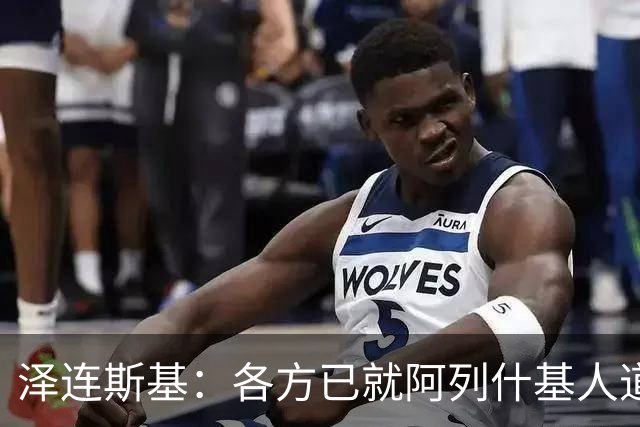 泽连斯基：各方已就阿列什基人道主义行动达成协议