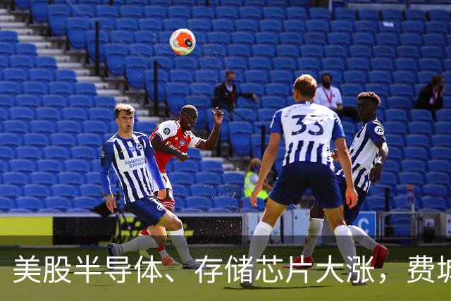 美股半导体、存储芯片大涨，费城半导体指数涨近400点，西部数据涨近7%，AMD涨超5%，特斯拉市值一夜涨超4600亿元