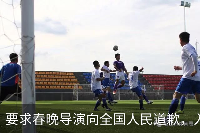 要求春晚导演向全国人民道歉，入美籍还回国捞金，她究竟啥来头？