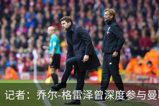 记者：乔尔-格雷泽曾深度参与曼联管理，连买油漆都要审批